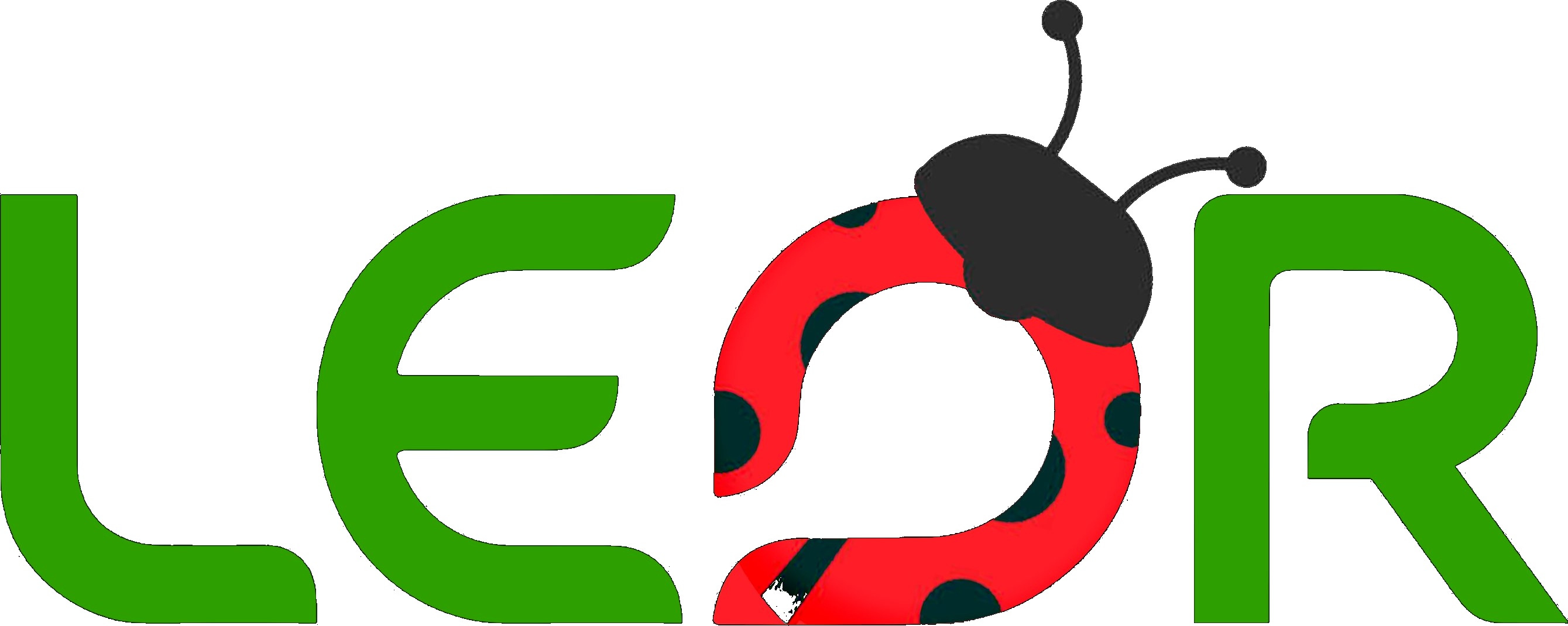 LEOR Logistic